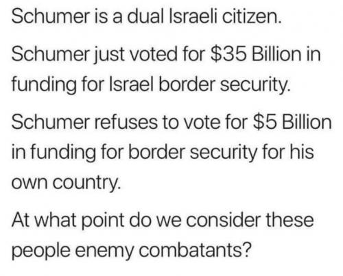 Schumer dual citizen