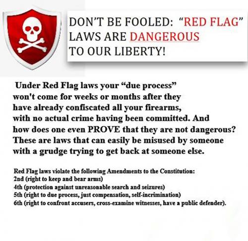 USA RED FLAG laws
