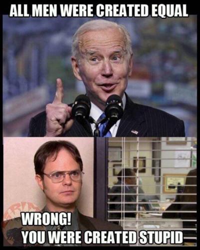 M created stupid