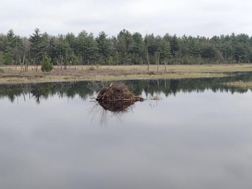 IMG_20230507_093649461