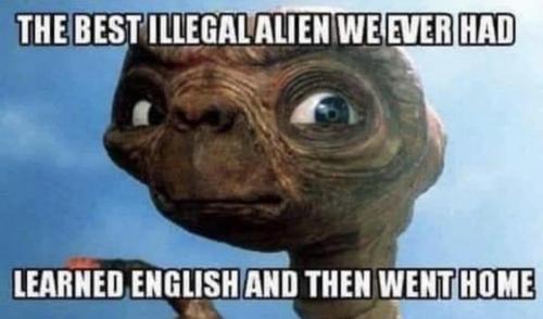 M best illegal alien