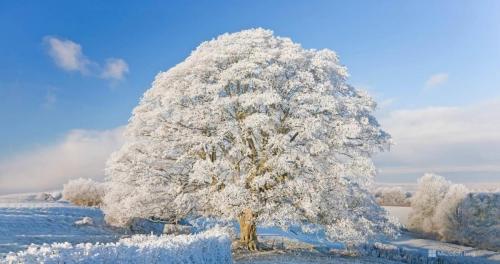 02-28-22 Frost