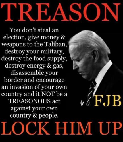 Biden - Treason