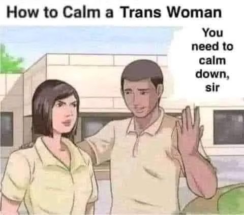 trans1