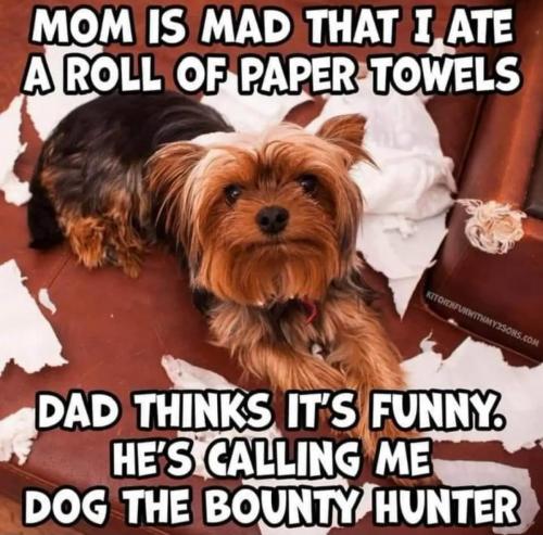 83ed700d695372a8.jpeg