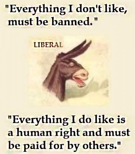 M Liberal
