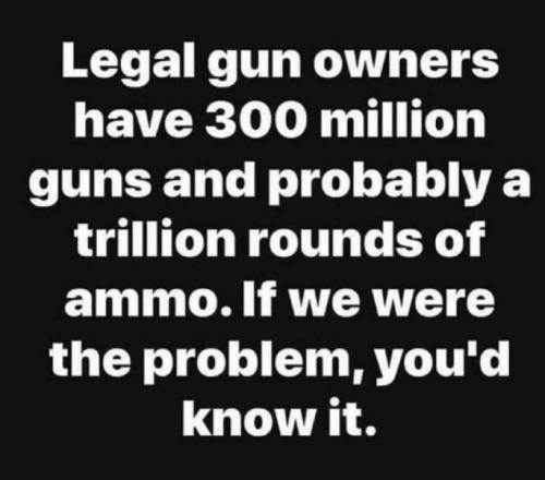 Guns not the problem