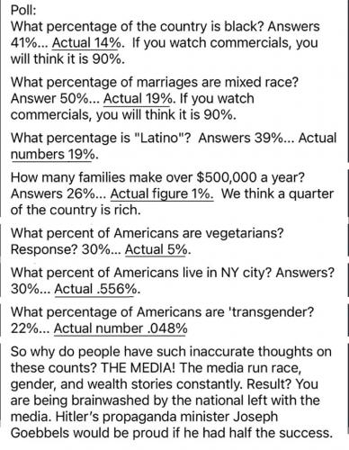 MSM % lies