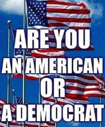 CA708C2C-E29F-4BB8-BE95-3231347A65FB
