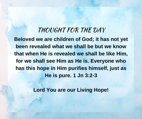 TWEET 5-11-23