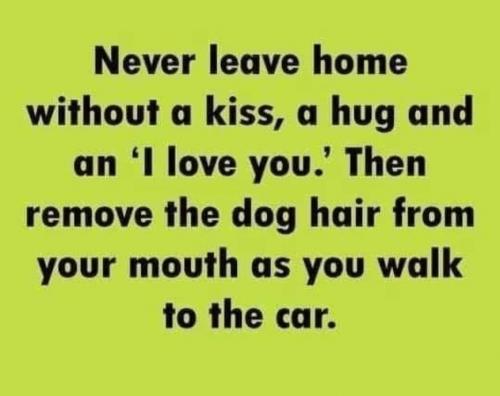 Never Leave Home