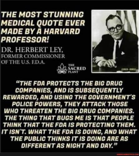 ffc5945e-0118-490d-9a96-3c782e4e06a5