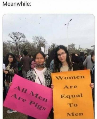 equal pigs