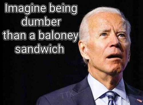 M baloney sandwich