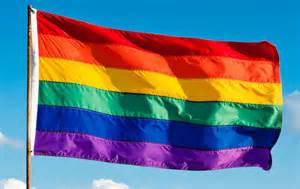 gay flag