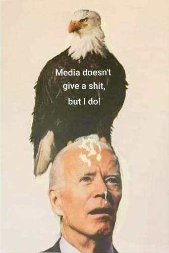 Biden - Eagle shitting on...