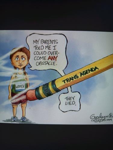 dc326955905d4bcfd19dbddc0a143ab8_768x0