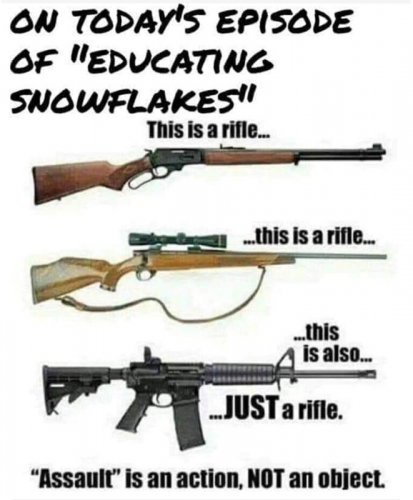 M Educating Snowflakes