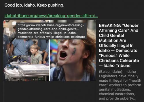 Idaho trans illegal