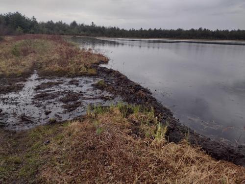 IMG_20230505_091626788_HDR