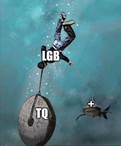 M LGBTQ