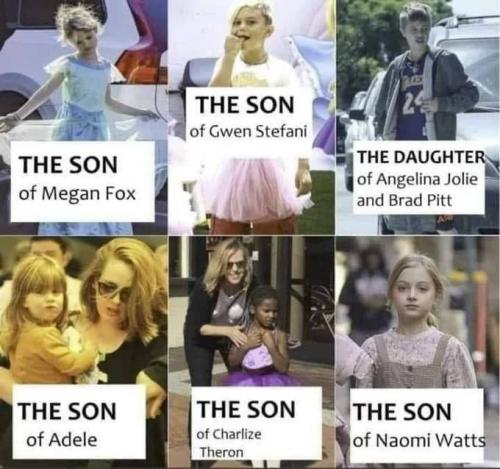 Woke Hollywood Parents