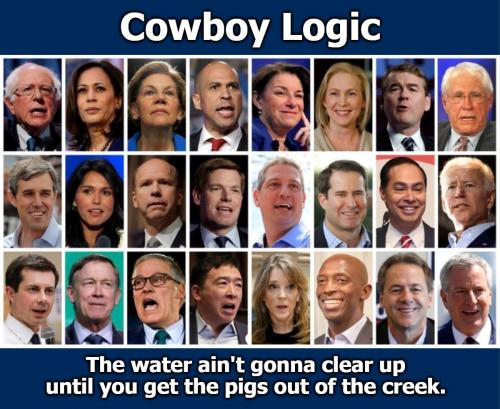 Pigs