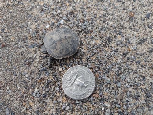 IMG_20230507_134809111_HDR