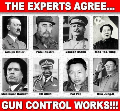 M experts