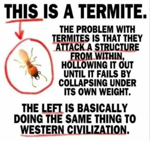 fb7d0c1e2ff96f5a2dea4708a94685f8_768x0