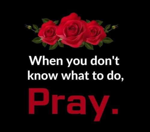 051123 - Red  roses=-pray