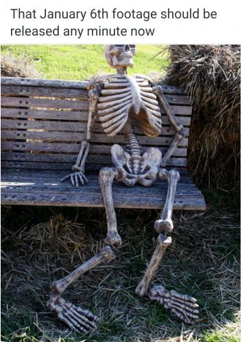 Screenshot_20230513_174255_Brave