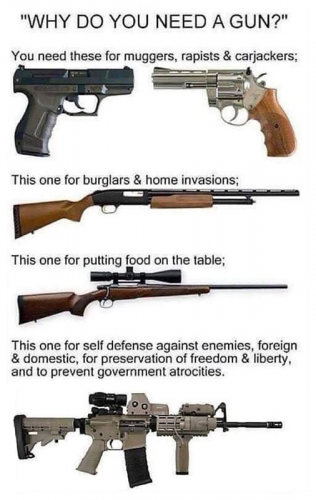 RO need gun