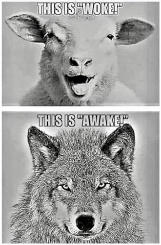 M Woke Awake