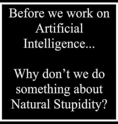 AI vs Natural Stupidity