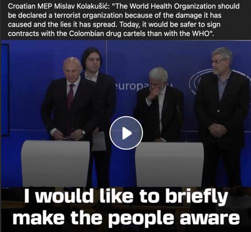 Croatian MEP & WHO