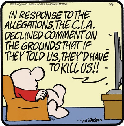 Screenshot 2023-05-09 at 06-33-15 Ziggy by Tom Wilson & Tom II for May 09 2023 GoComics