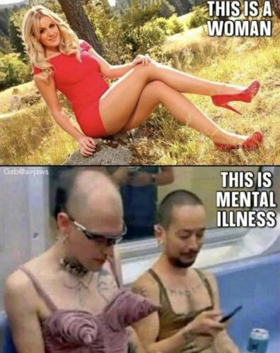 RO mental illness