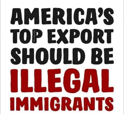 M top export