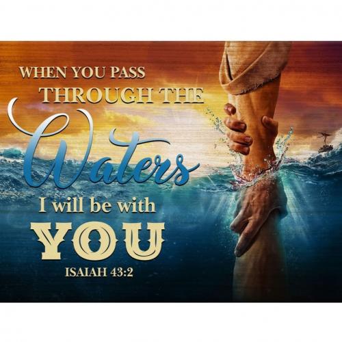 IMG_20230530_081141_141