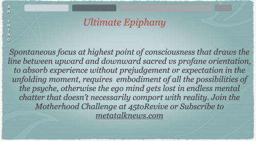 Screen Shot 2023-05-04 at 9.35.23 AM