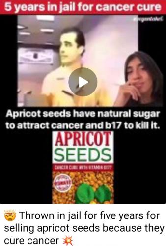 Screenshot_20230501-090031_Telegram