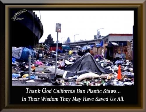 California Ban Plastic Straws