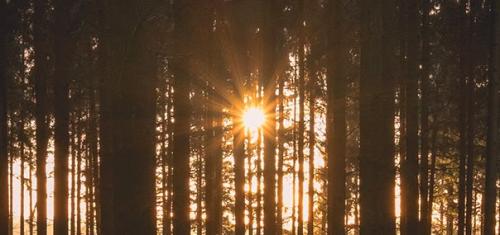 050723 - Hunt for Inner Healing
