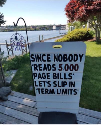 TermLimits