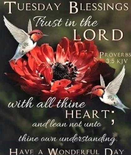 050223 - Prov 3-5 Trust