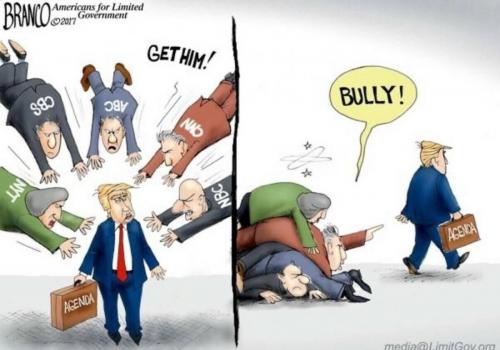 TRUMP BULLY