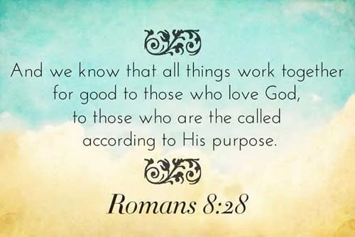 IMG_20230523_064554_528