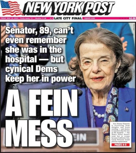 NYP Cover - Feinstein
