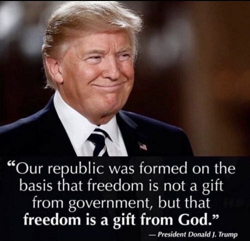 TFreedom